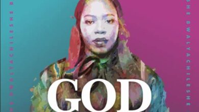 Chileshe Bwalya - God In The Details (Part 1 Full Album & Zip) Mp3 Download