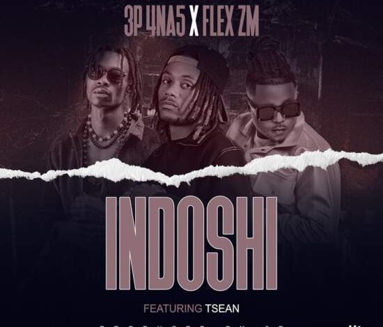3P (4 Na 5) Ft Flex Zm & T Sean - Indoshi Mp3 Download