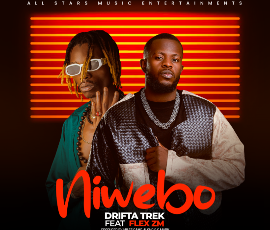 Drifta Trek ft. Flex Zm - Niwebo Mp3 Download