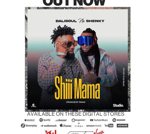 Shenky Ft Dalisoul - Shi Mama Mp3 Download