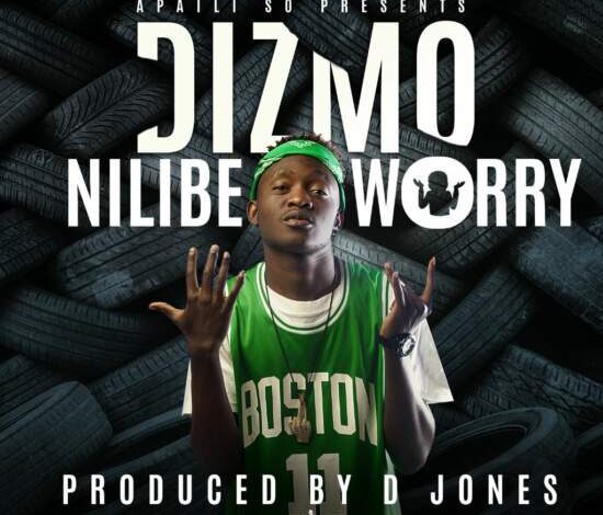 Dizmo - Nilibe Worry Mp3 Download