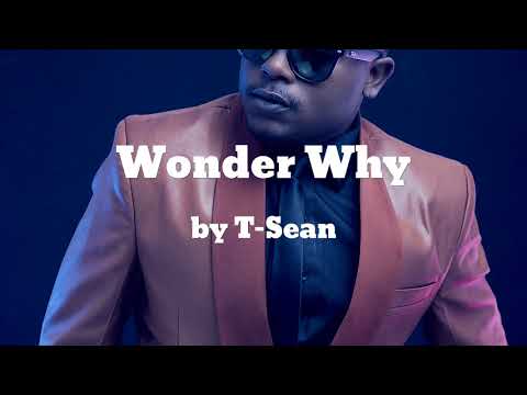 T Sean ft. B1 - Wonder Why Mp3 Download