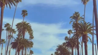 T Sean – Fire Mp3 Download 