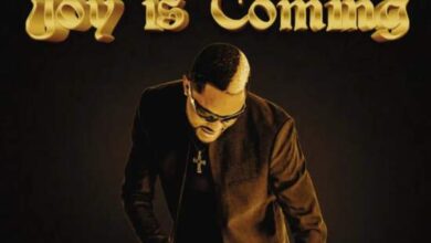Fido - Joy Is Coming Mp3 Download