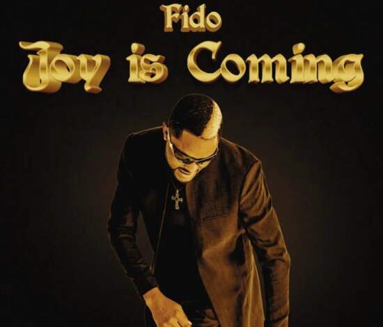 Fido - Joy Is Coming Mp3 Download
