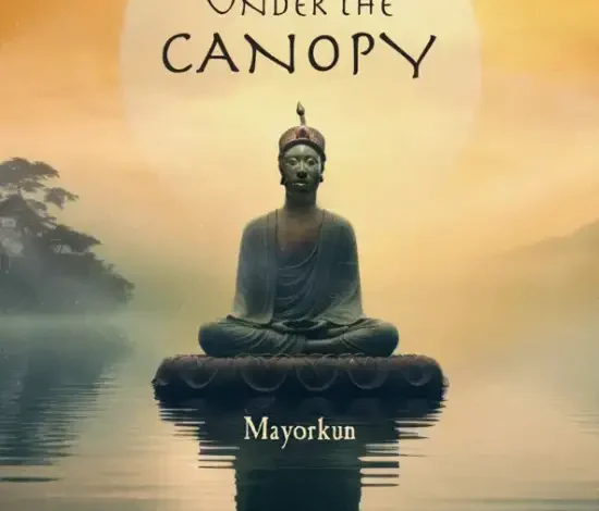 Mayorkun - Under The Canopy Mp3 Download