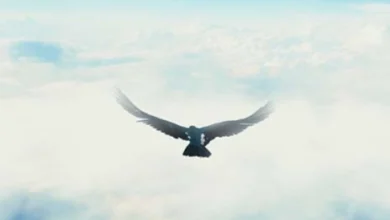 Sarkodie – Otan Mp3 Download 