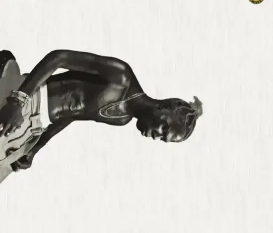 Seyi Vibez – Children Of Africa (EP & Zip) Mp3 Download 