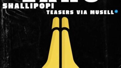 Shallipopi - Laho Mp3 Download