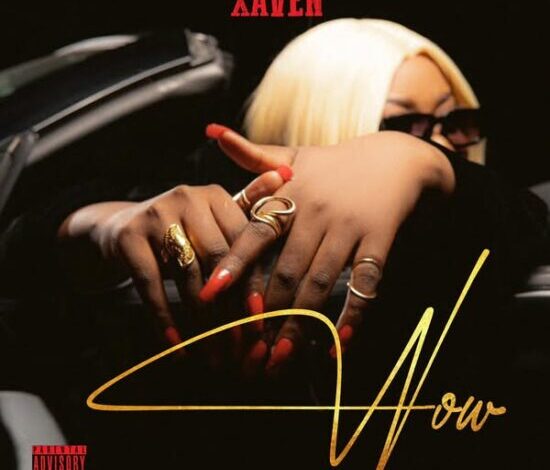 Xaven - Wow Mp3 Download