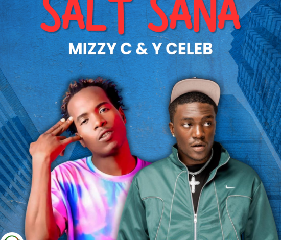 Mizzy C ft Y Celeb – Salt Sana Mp3 Download