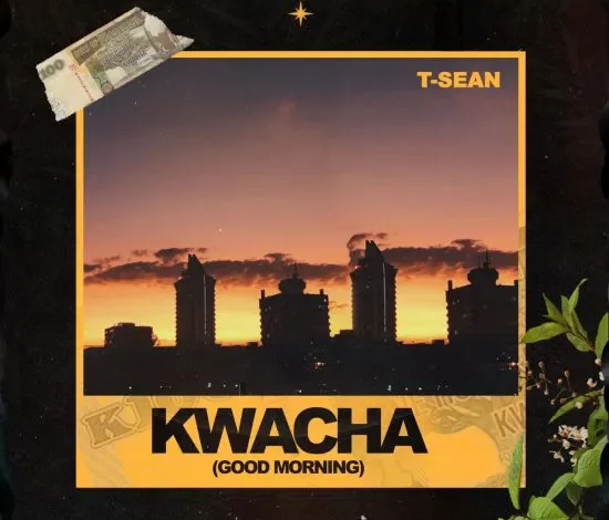 T Sean ft Killa – Beautiful Mp3 Download