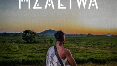 Driemo ft Wezi – Zapamwamba Mp3 Download
