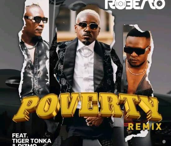 Roberto – Poverty (Remix) ft. Tiger Tonka & Dizmo