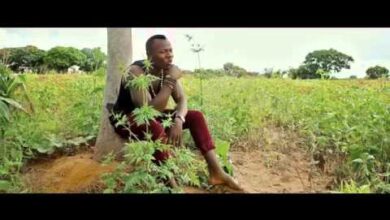 Willz Mr Nyopole ft Wezi -Toliwe Mp3 Download