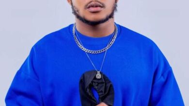 Dizmo - Paradise Mp3 Download