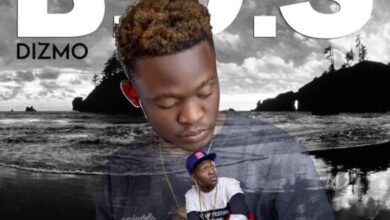 Dizmo - B.O.S Mp3 Download