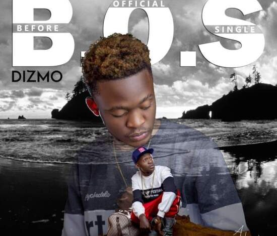 Dizmo - B.O.S Mp3 Download
