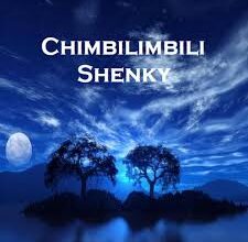 Shenky - Chimbilimbili Mp3 Download