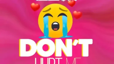 T Sean - Don't Hurt Me Mp3 Download