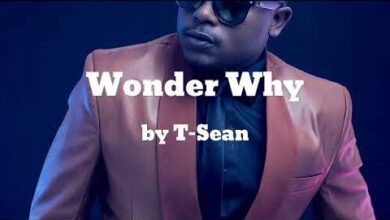T Sean ft. B1 - Wonder Why Mp3 Download