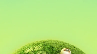 Ruger - Jay Jay Mp3 Download