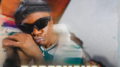 Selemanyo - Dodeshako Mp3 Download