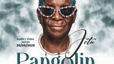 Jetu - Pangolin Mp3 Download