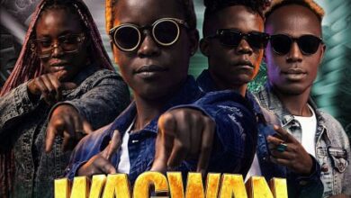 Abena Swanky T ft Akapondo Baraba – Wagwan