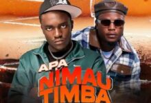 Mizzy C ft Vinchenzo – Nimautimba Mp3 Download